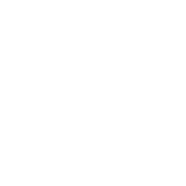 axel-logo
